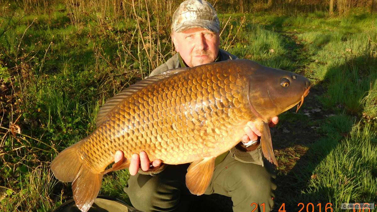 Smradoch 13,9kg