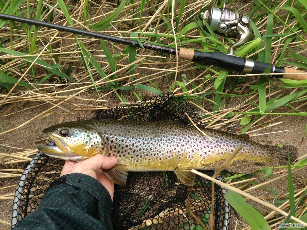 Krkonoše 43cm
