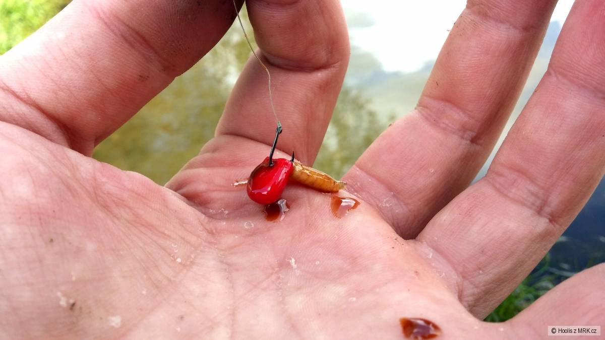 Jahodová kukuřice s masňákem zatraktivněná jahodovým boosterem