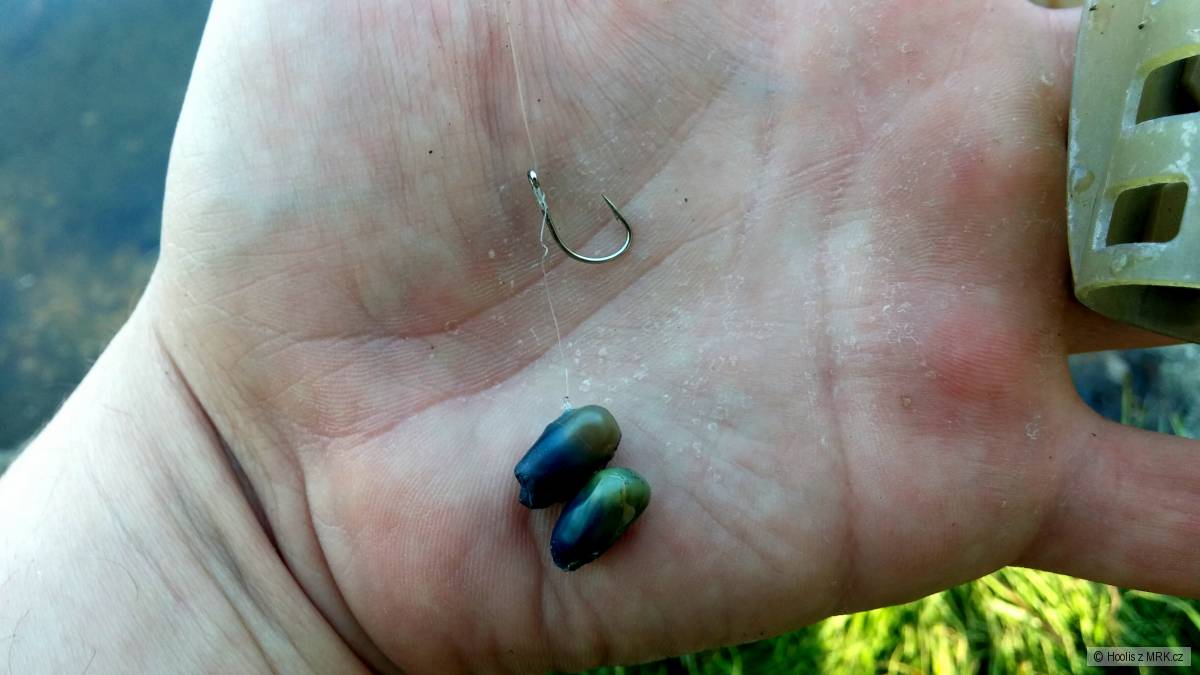 Octupus in corn