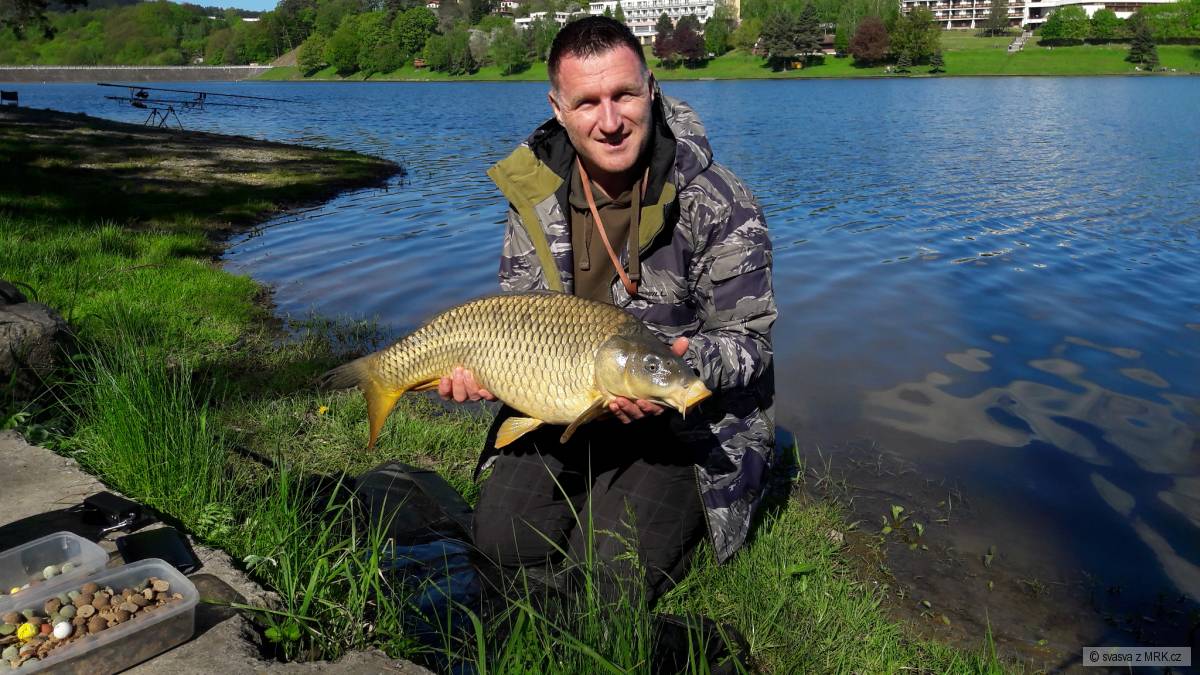 Luhačovice Kapr 8kg