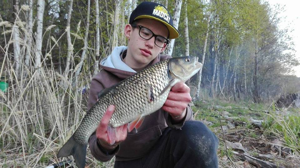 Jelec Tloušť 50cm