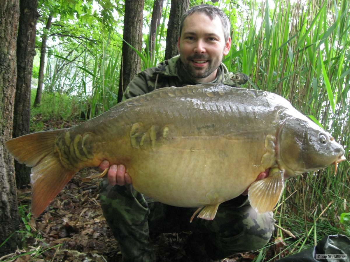lysáček 87 cm a 15,7 kg
