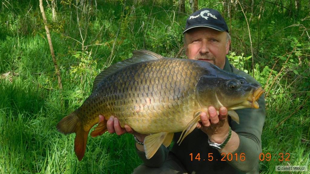 Změna místa-10kg