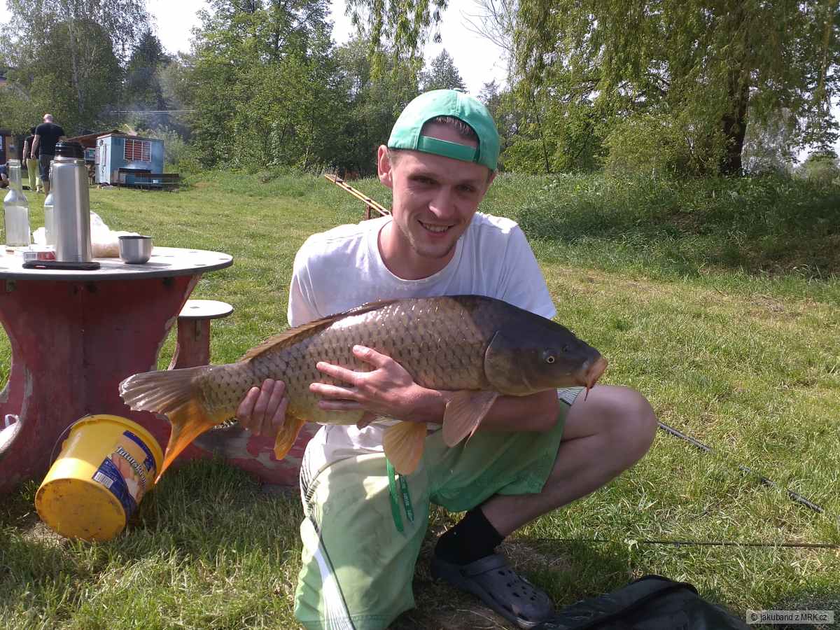 Kapřík 83, 8,5 kg