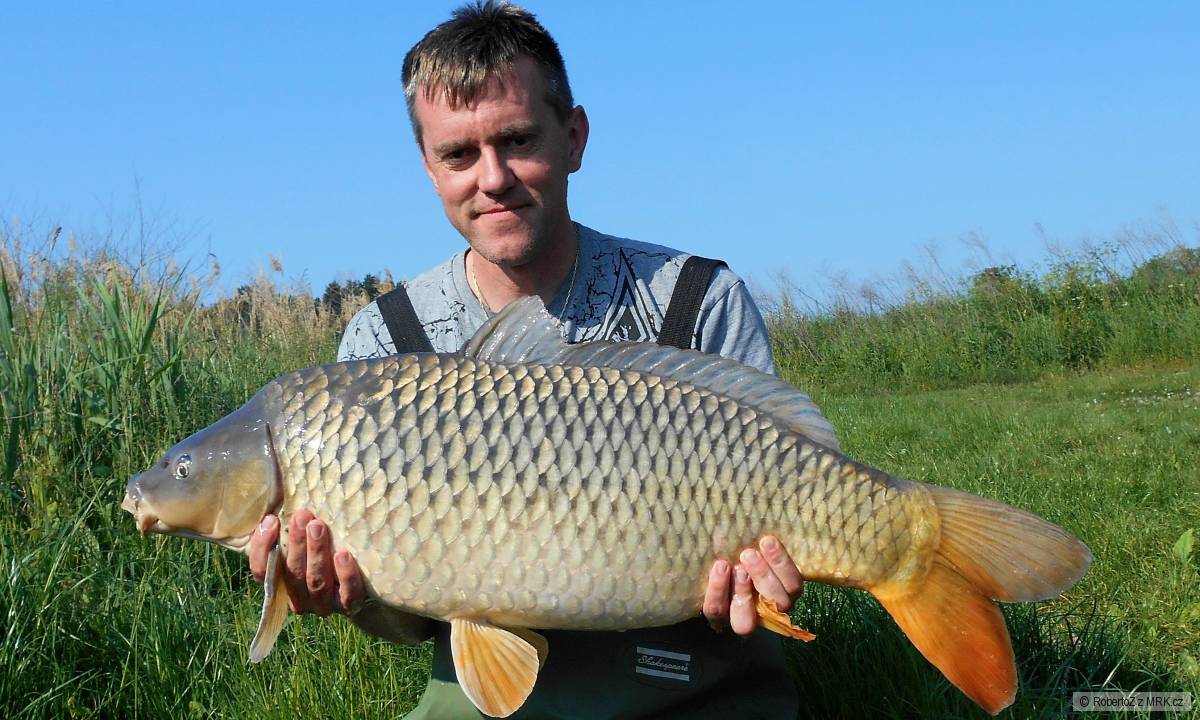 Palotáš 13,80 kg