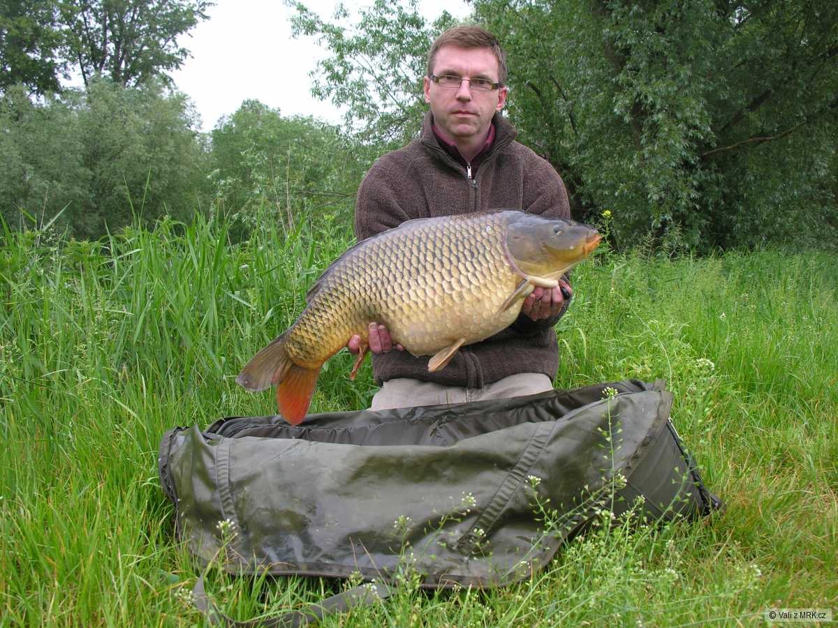 11 kg