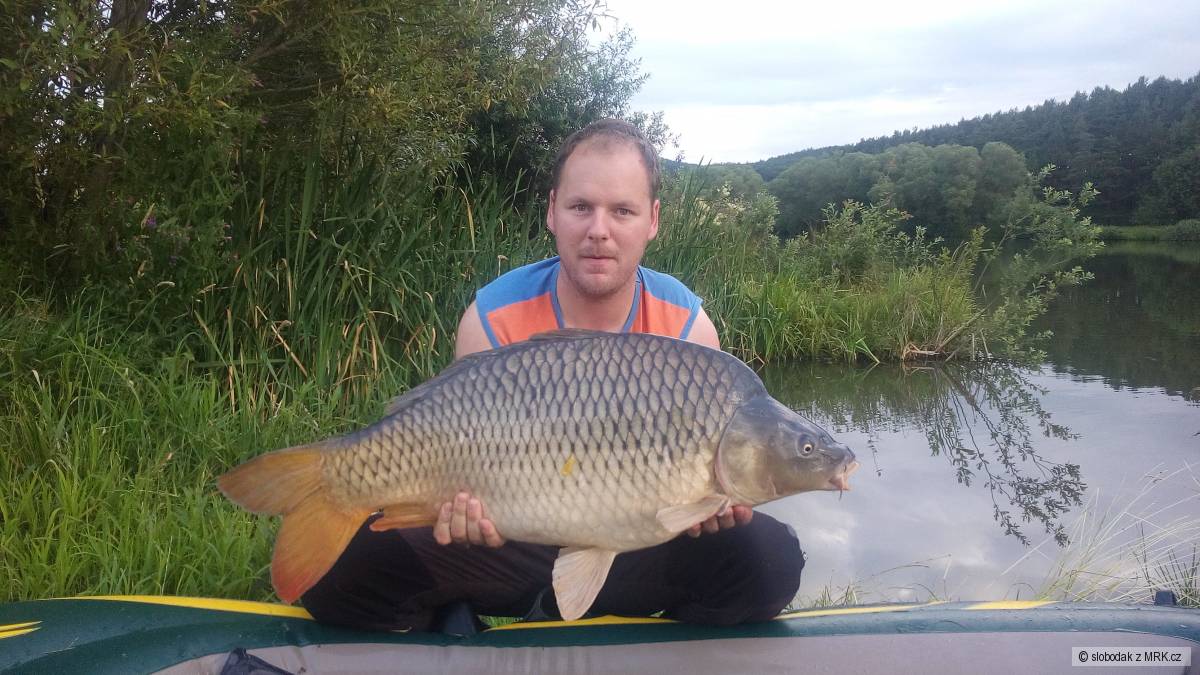 Kapr 83 cm, 12,5 kg