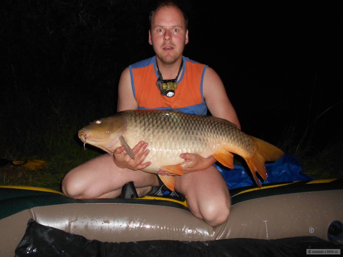Kapr 95 cm, 18,5 kg