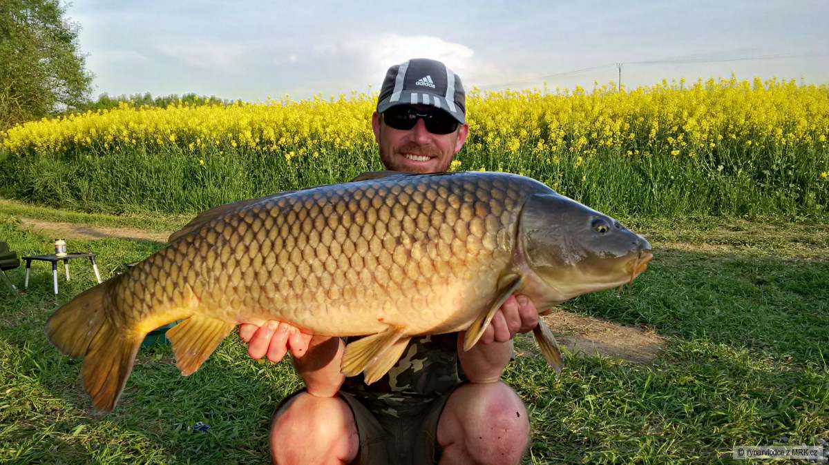 Božejov - soukromák - 11,6 kg