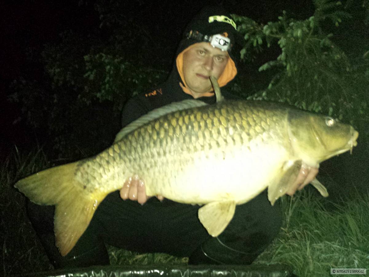 10,5 Kg
