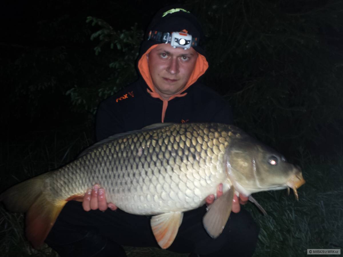 7,5 Kg