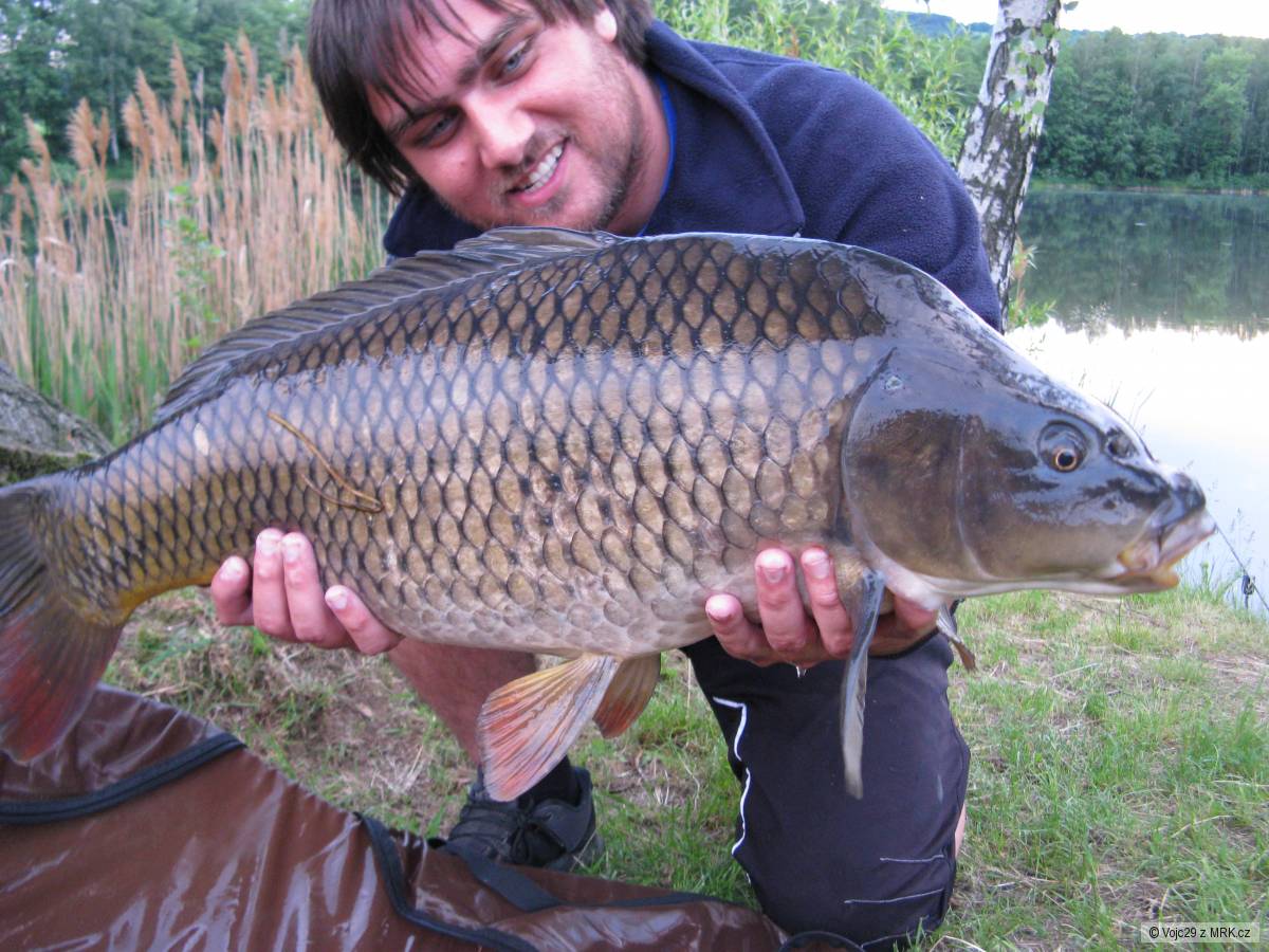 Šupík 74cm, 8,20kg