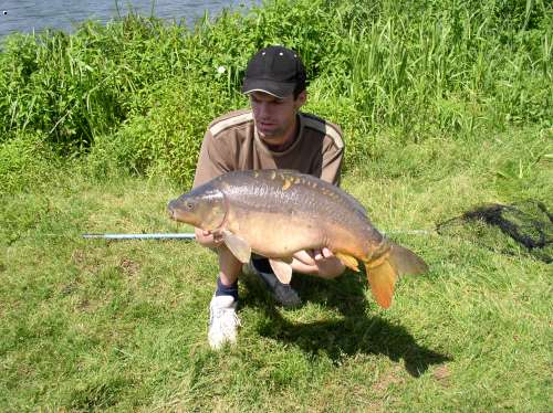 kapr 80cm,  10 kg