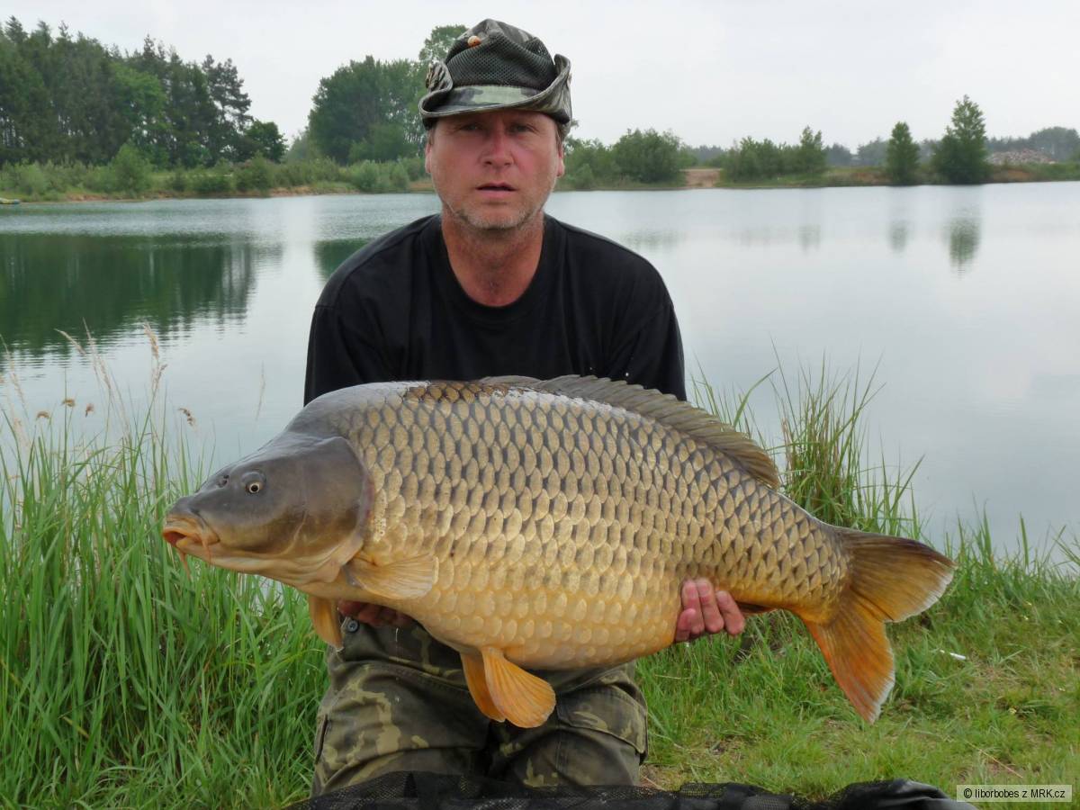 Kapr 21,30kg