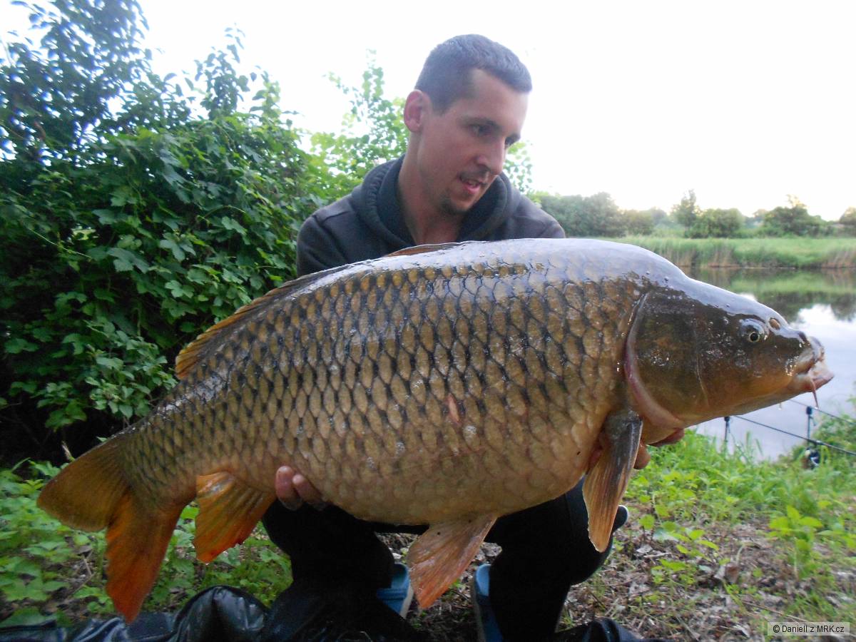 Labak 13,5kg