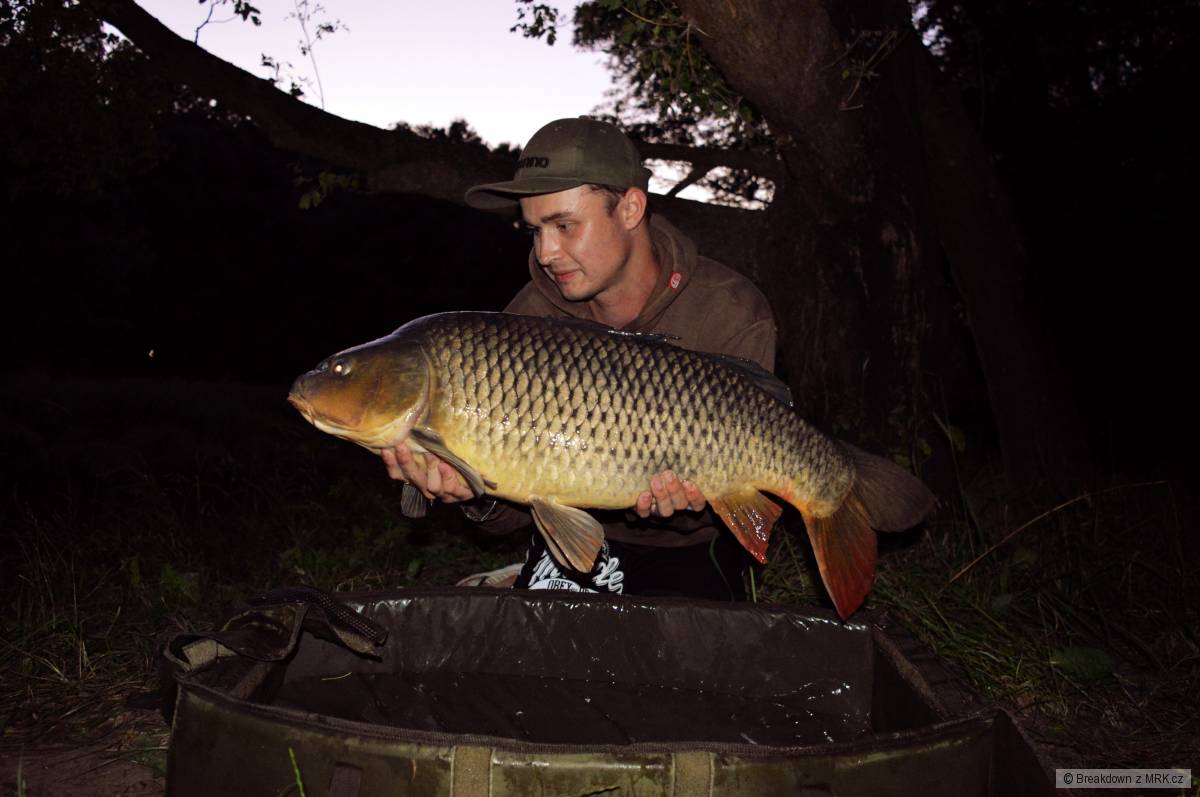 87 cm-11,1 kg