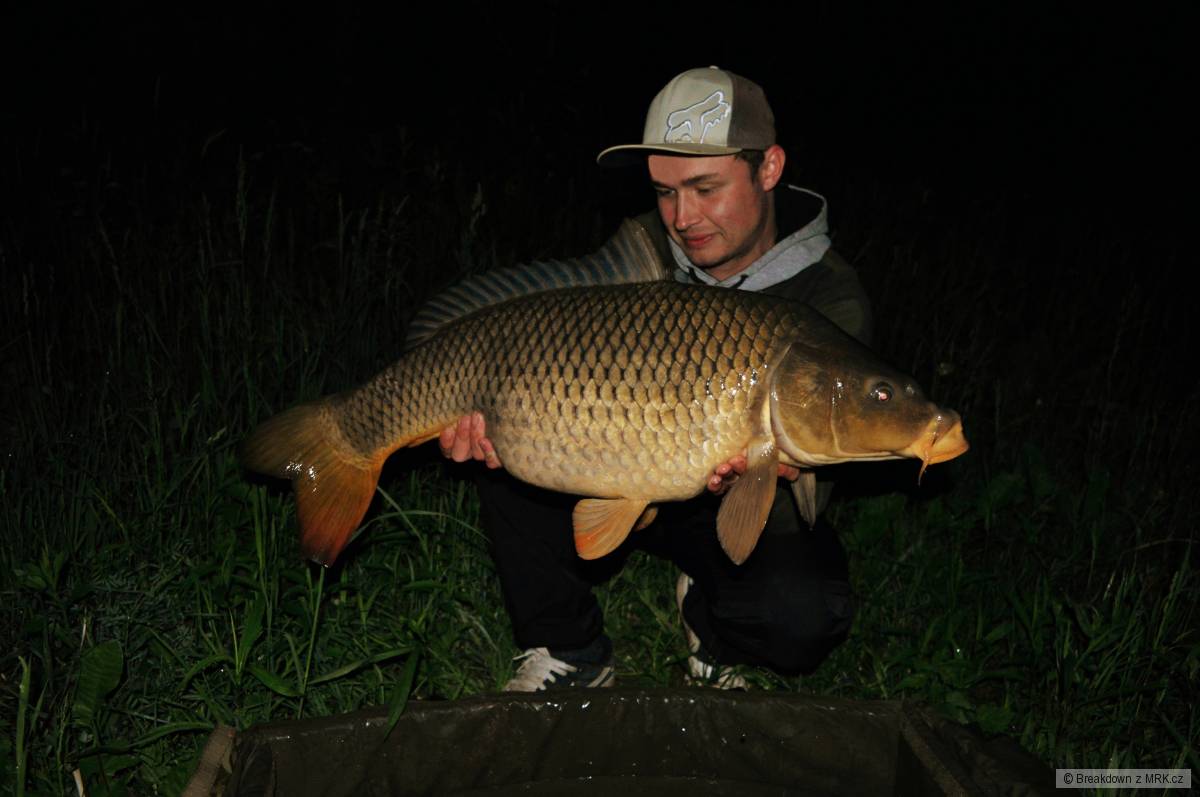 83 cm-10,3kg