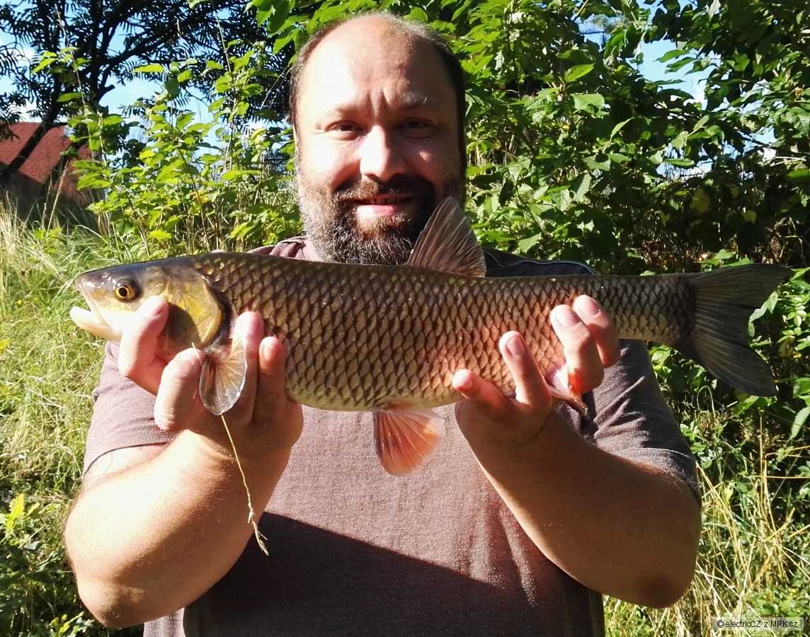 Tloušť 50cm