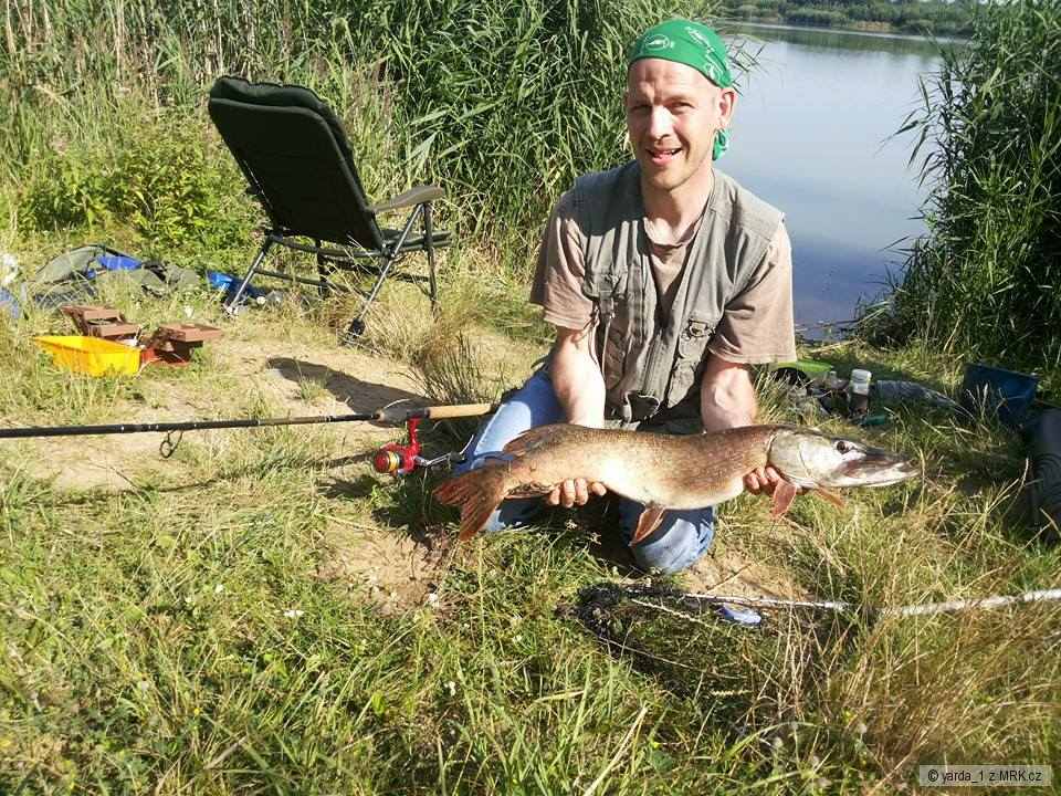 Feederová štika