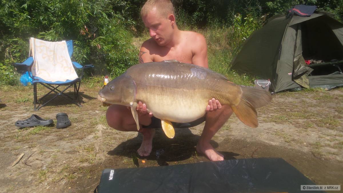 91cm, 17,5kg