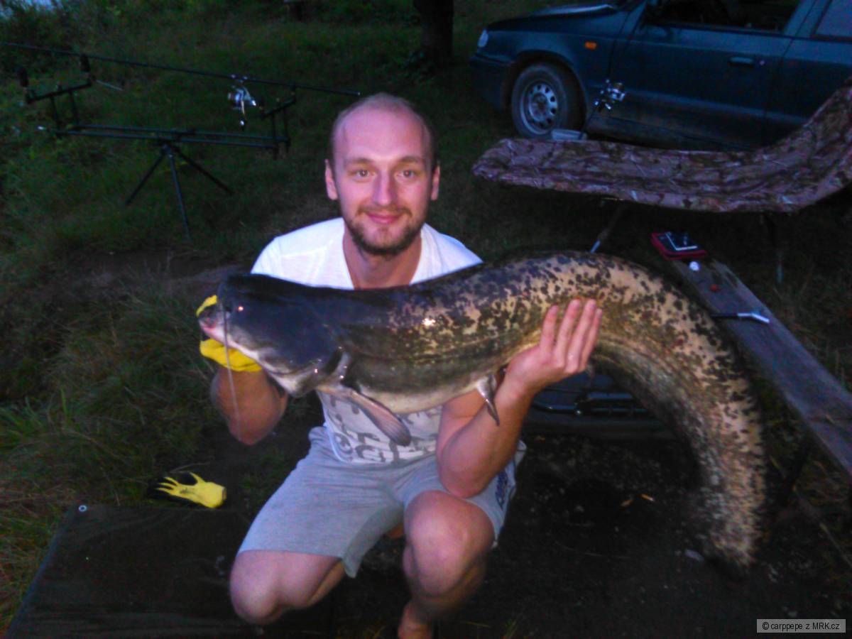 Sumec na Boilies