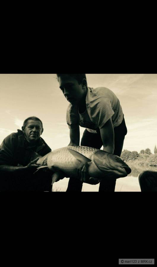 Amur 100cm
