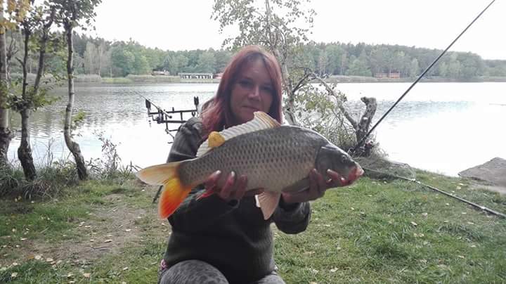 Jižní čechy