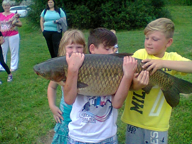 amur - 100 cm, 15 kg