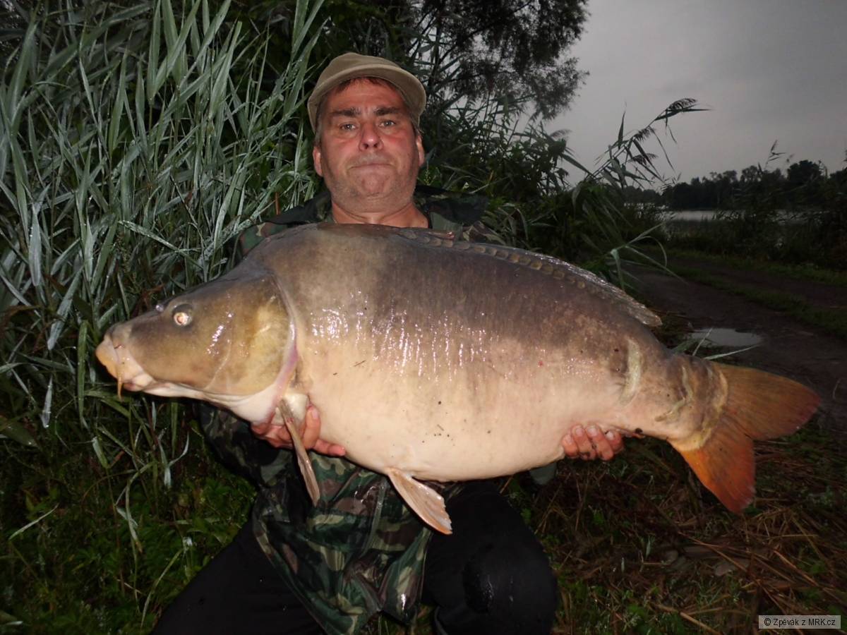 Kapr 24kg
