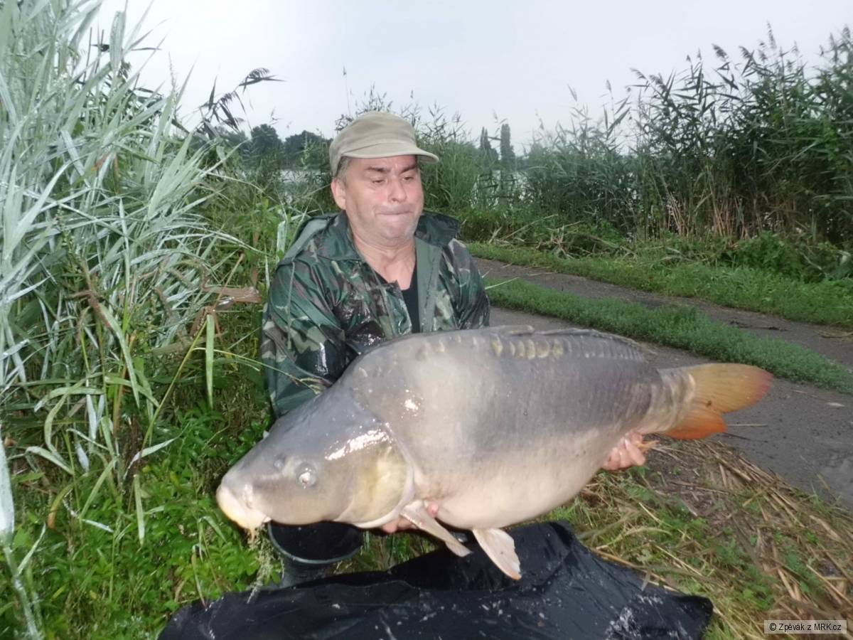 Kapr 24kg