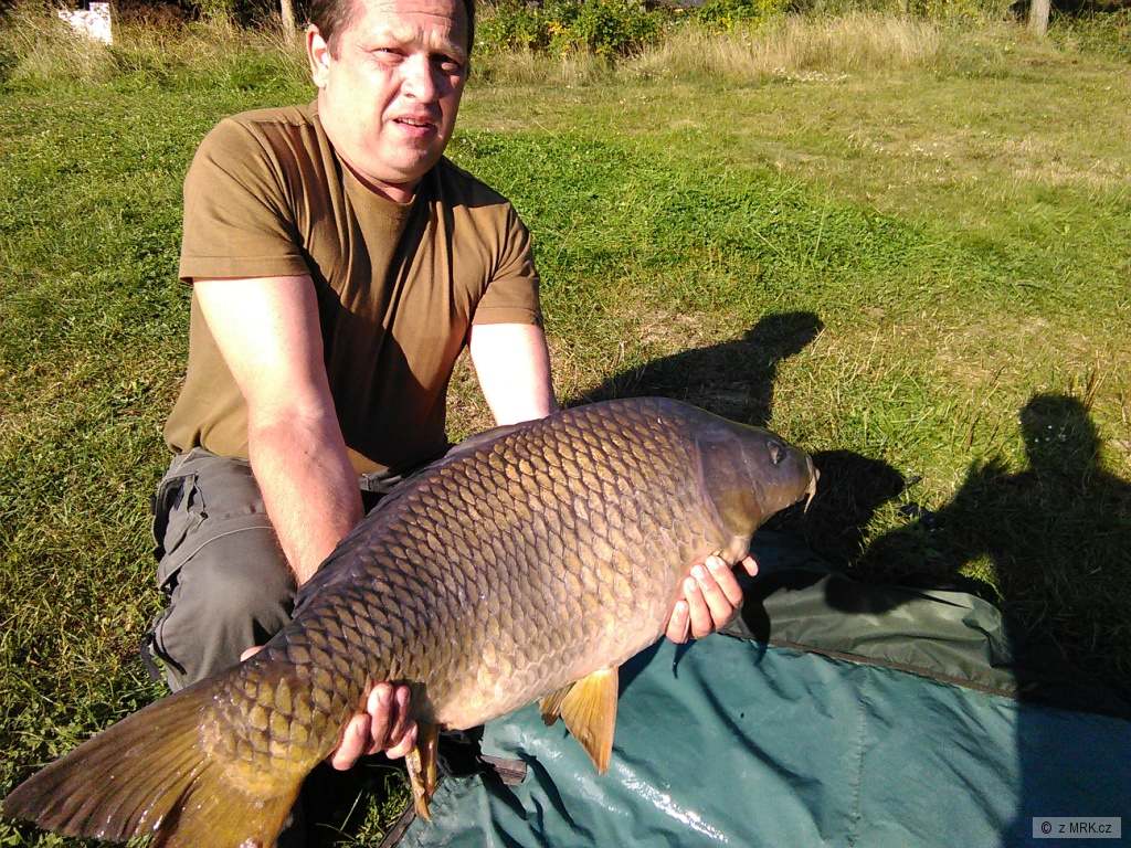 Kapr 92 cm, 15,7 kg