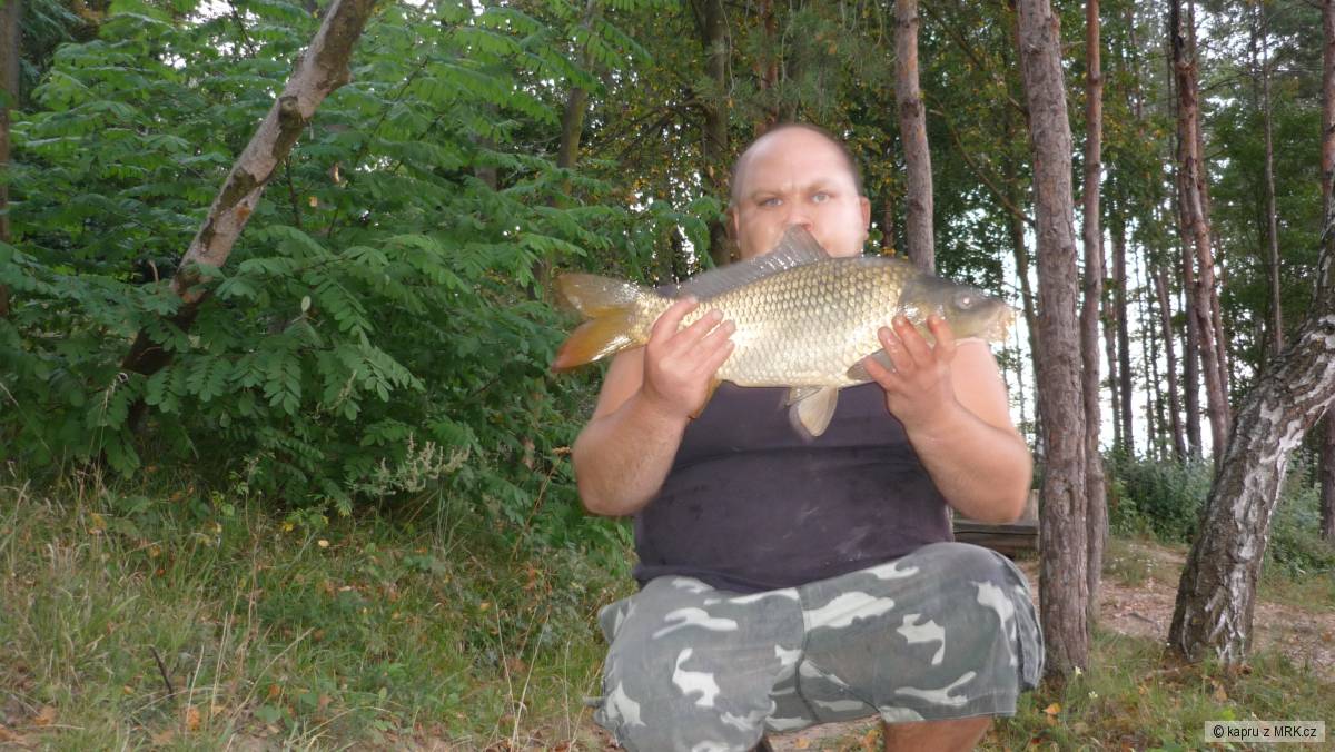 kapr 61cm 5 kilo