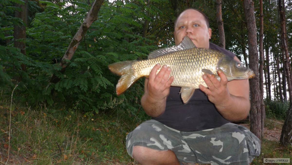 kapr 61cm 5 kilo