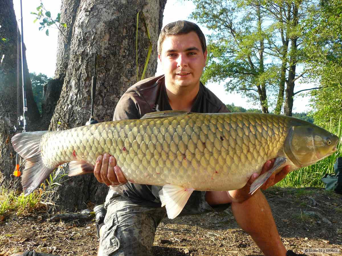 14 kg