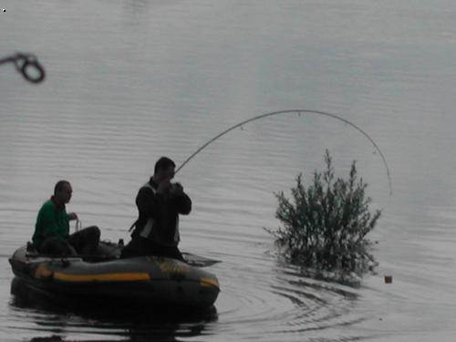 Sportex FBC 2,25lb v akci