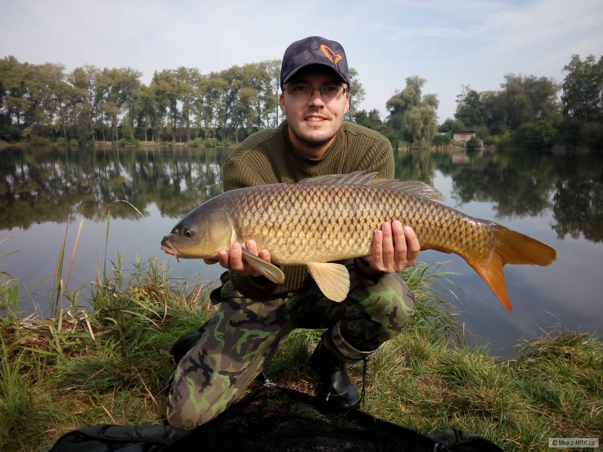 Kapr 73 cm