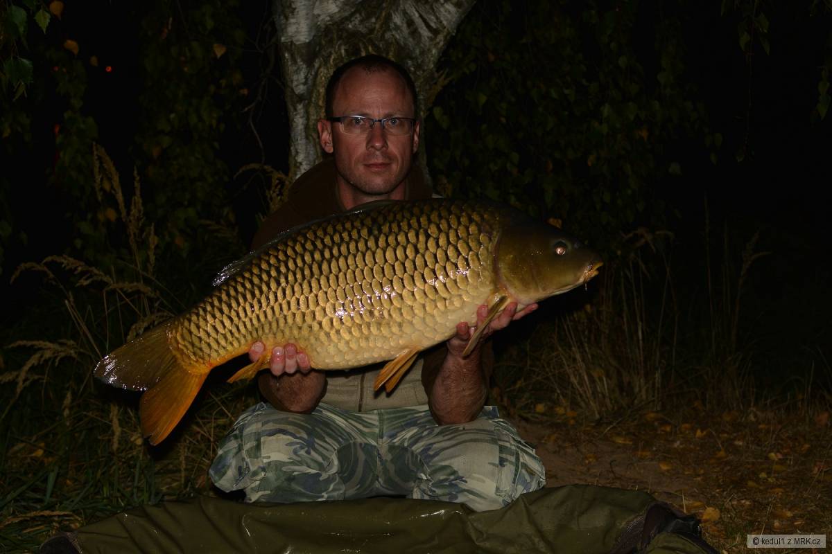 11,5kg
