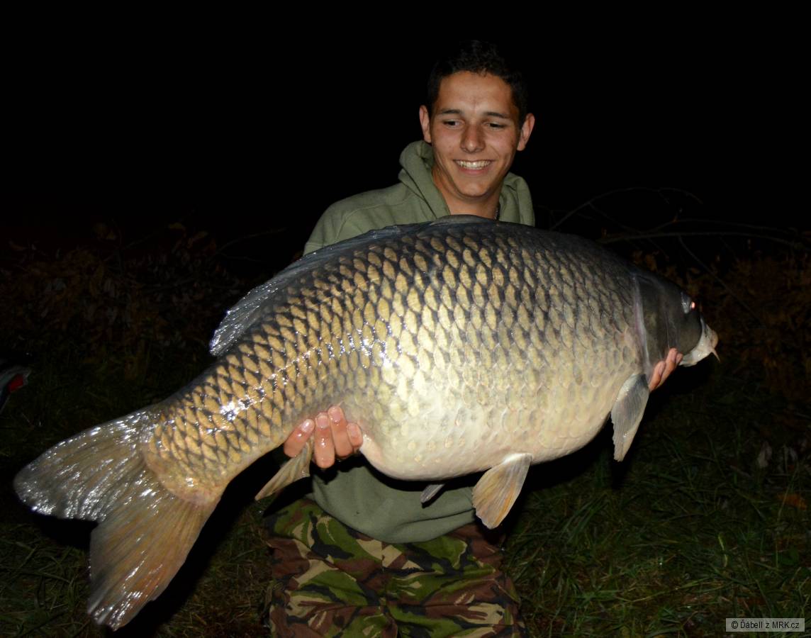 Kapr 22,5kg, Carpfreedom