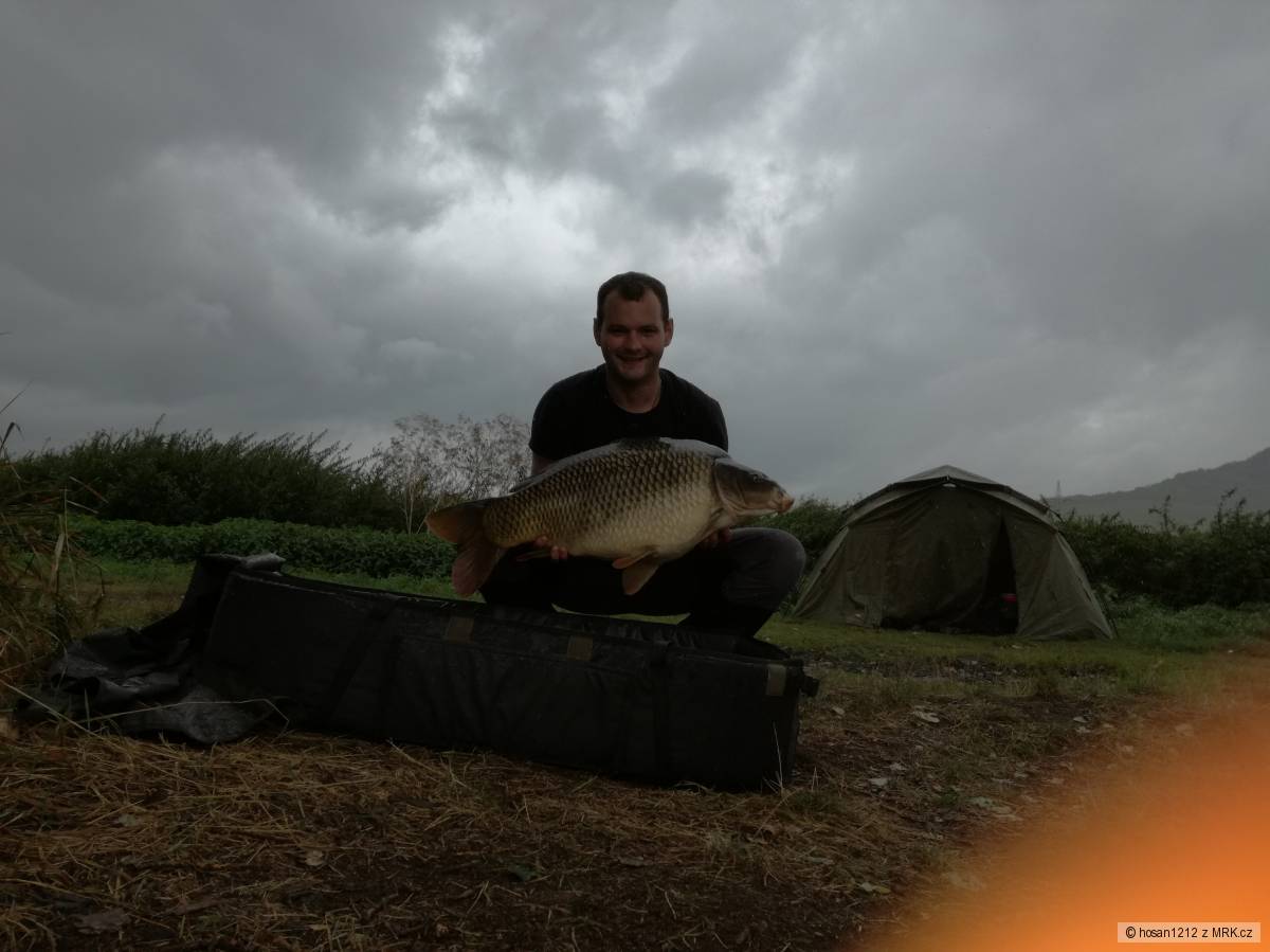 kapr 14.5kg