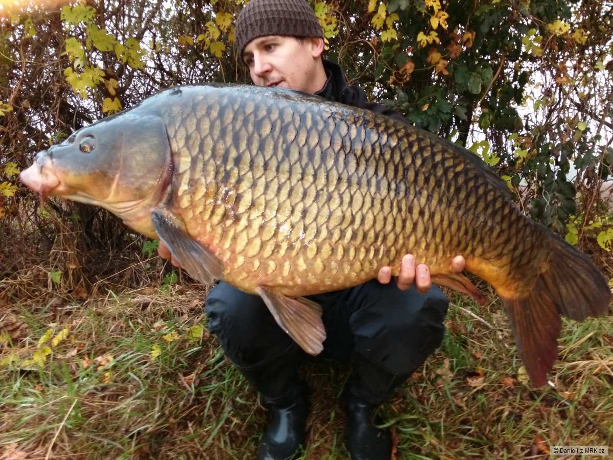 Labak 13 kg