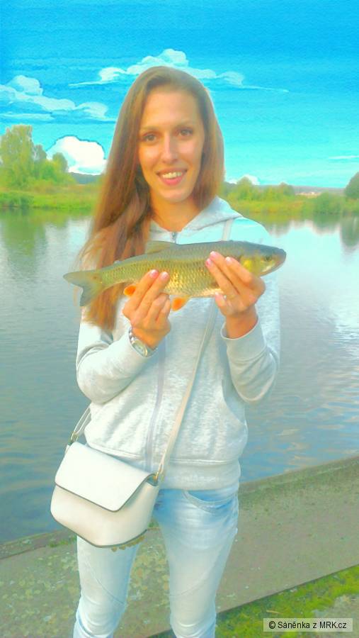 Tlou��