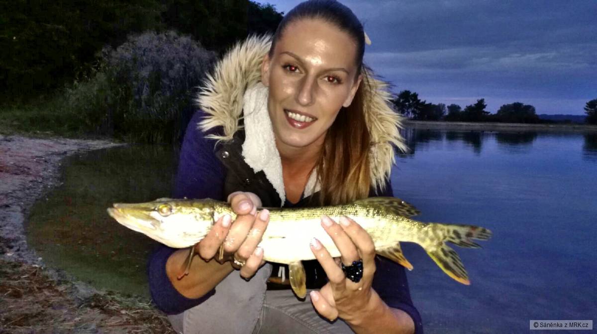 Štika