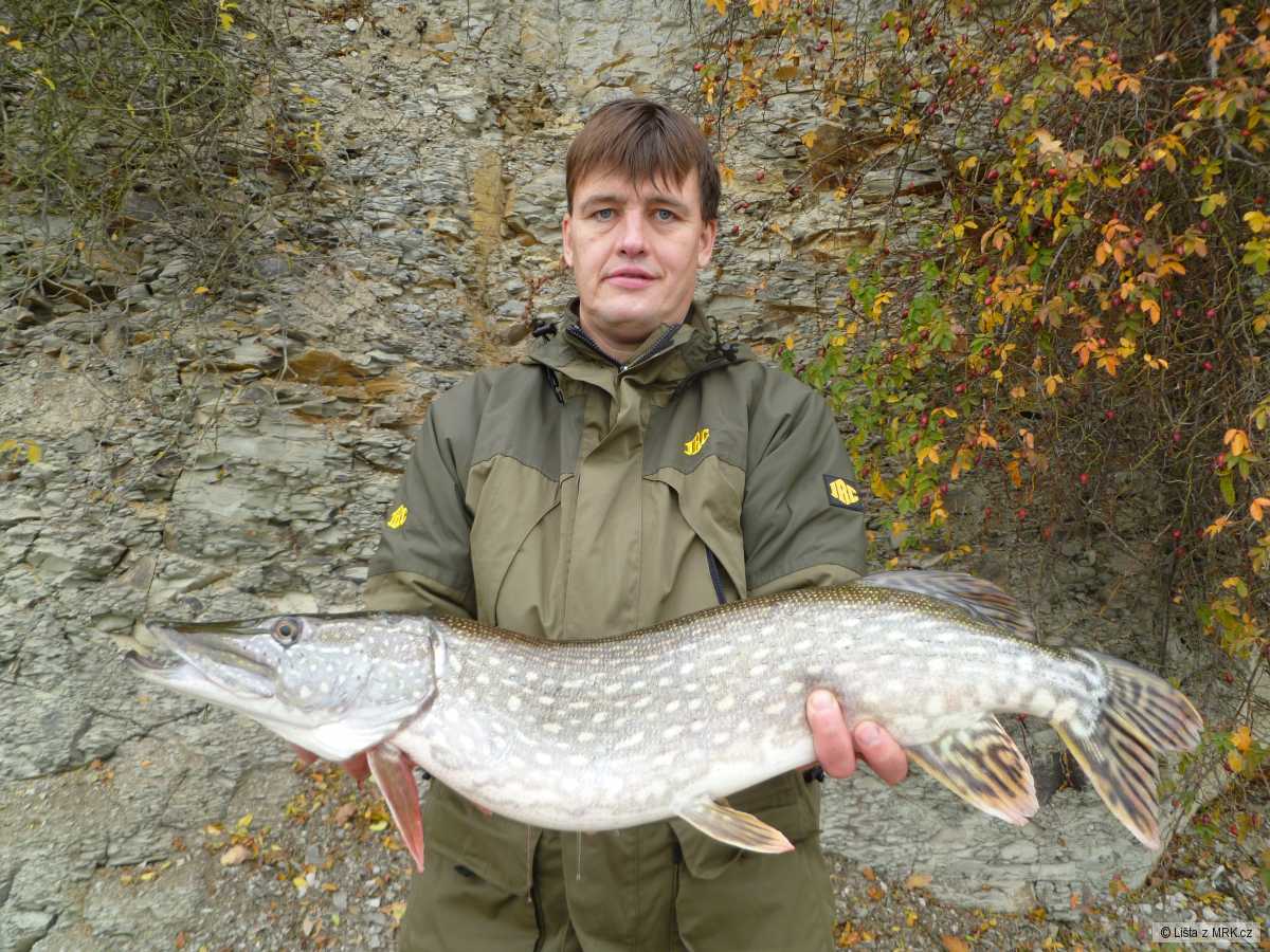 80cm 4,60kg