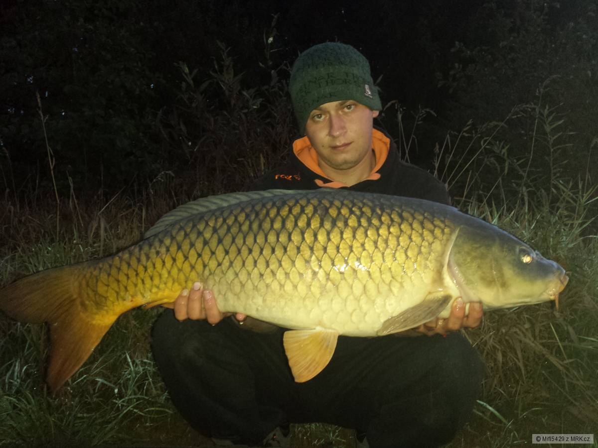 Svaz ČR 11,5 Kg