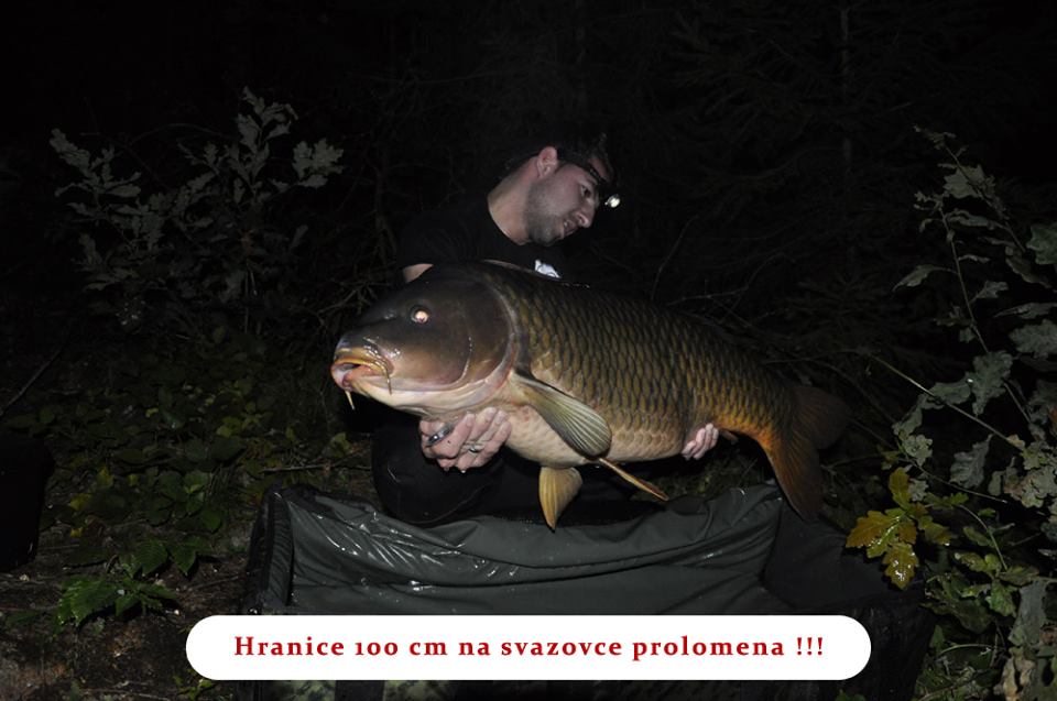 kapr 100cm svazovka