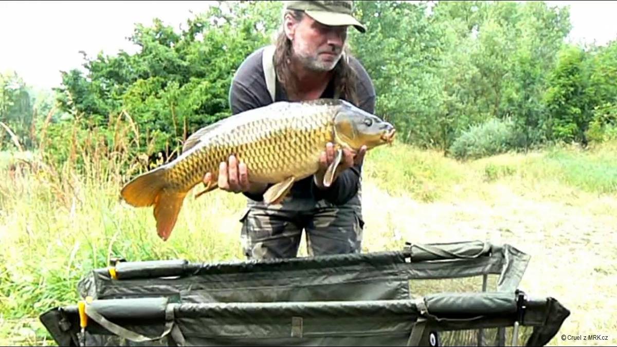 75cm 8kg 2016