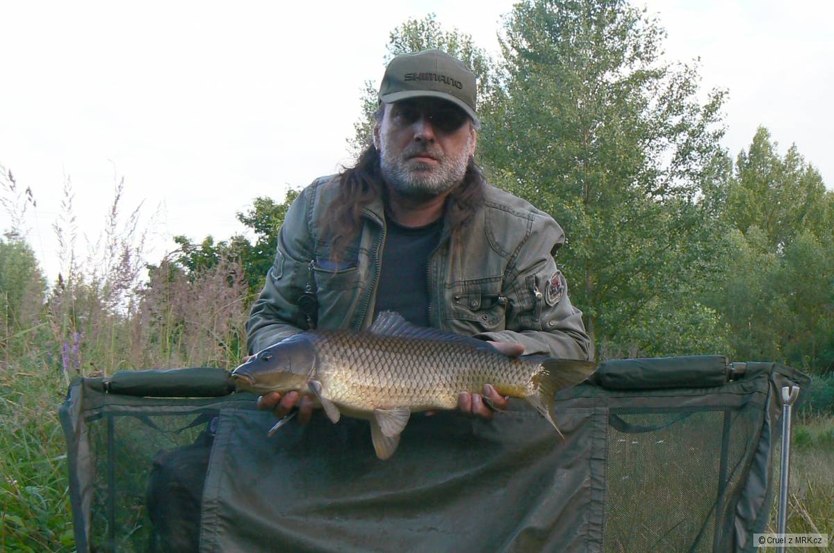66cm 5kg 2016