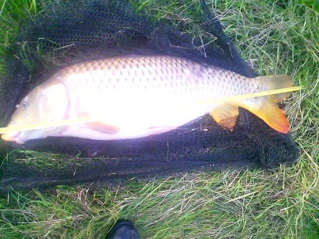 90cm 12kg 2015