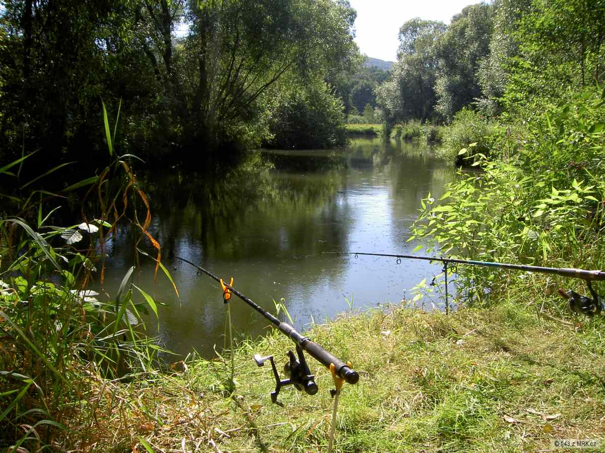 PLOUCNICE 3
